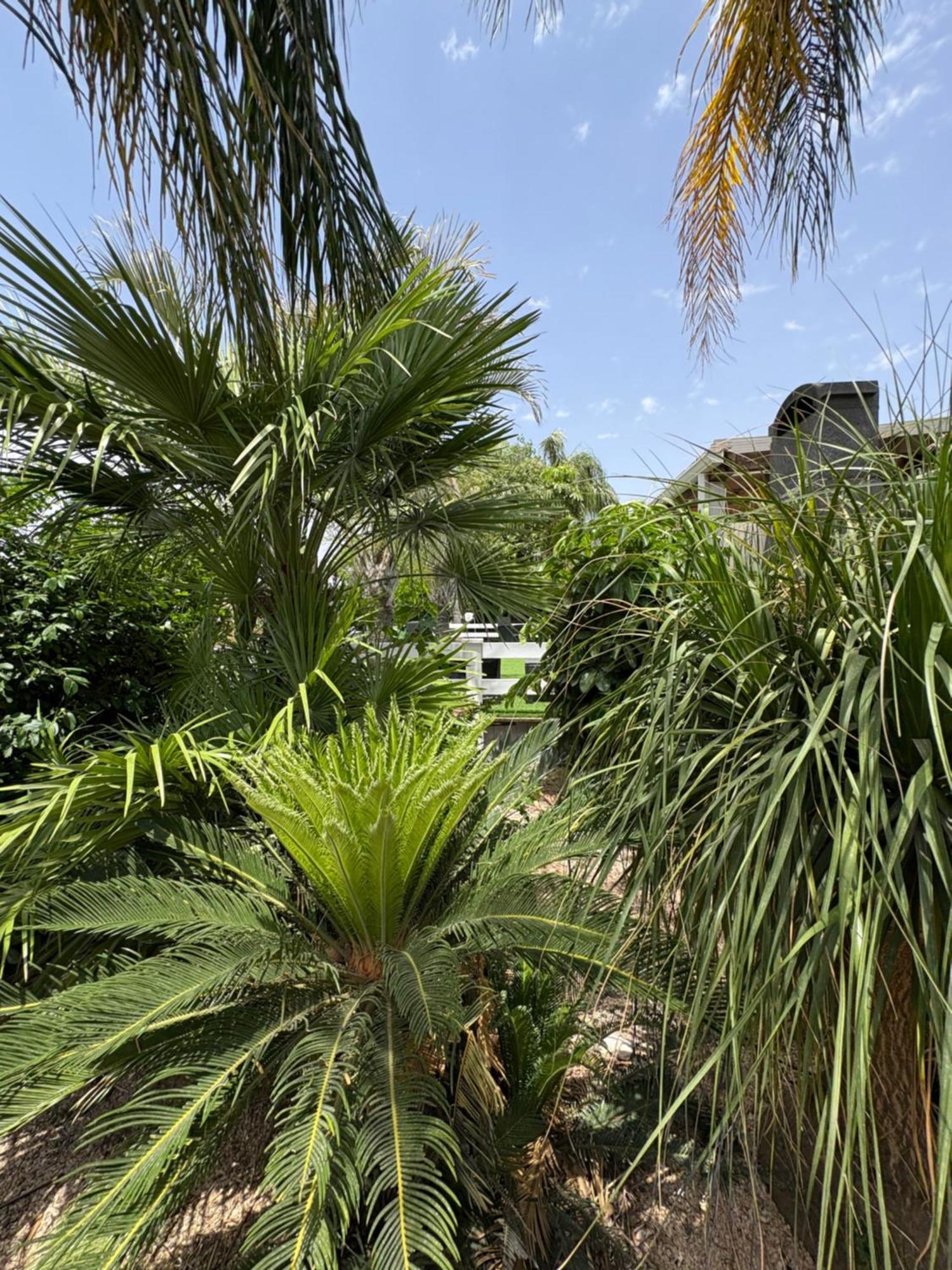 Vila Kesem Bagolan CChad Nes Exteriér fotografie