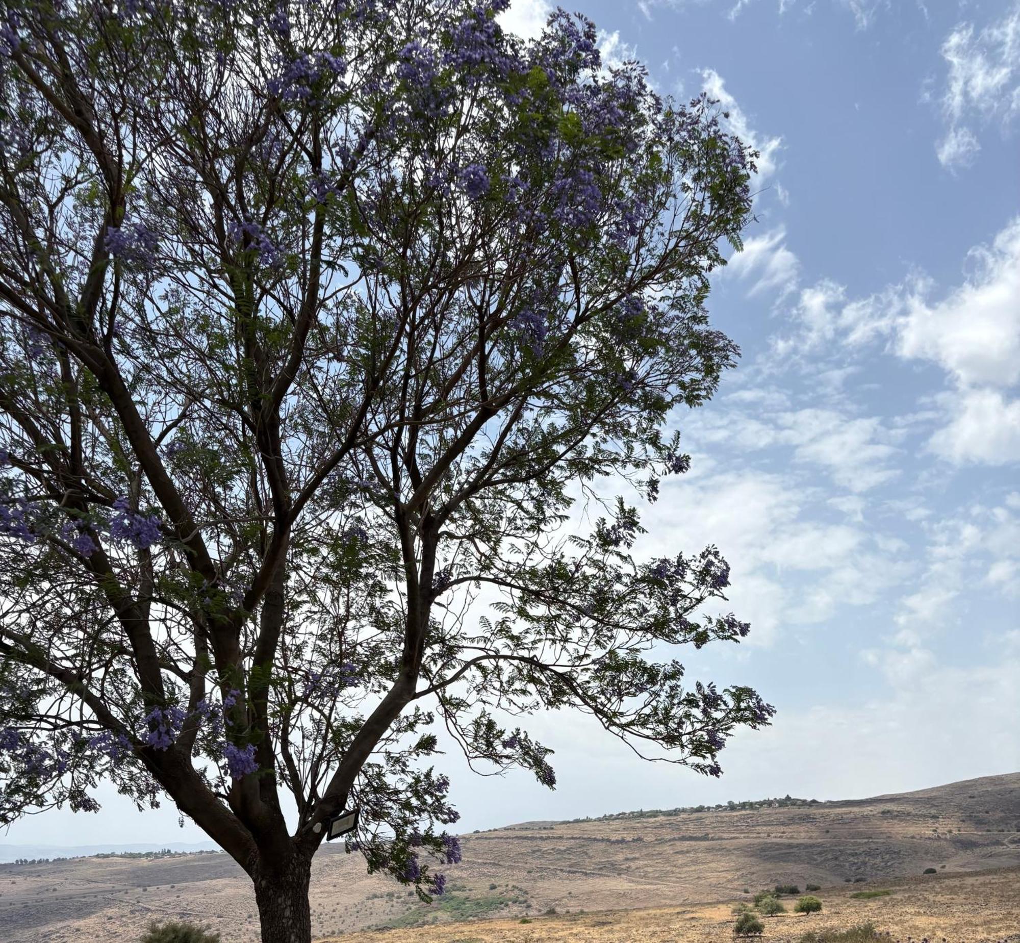 Vila Kesem Bagolan CChad Nes Exteriér fotografie